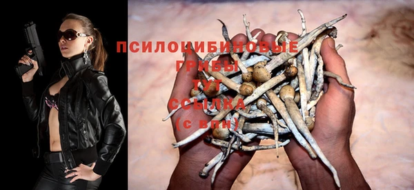 мяу мяу мука Балахна