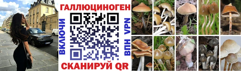 наркота  Красавино  Псилоцибиновые грибы Magic Shrooms 